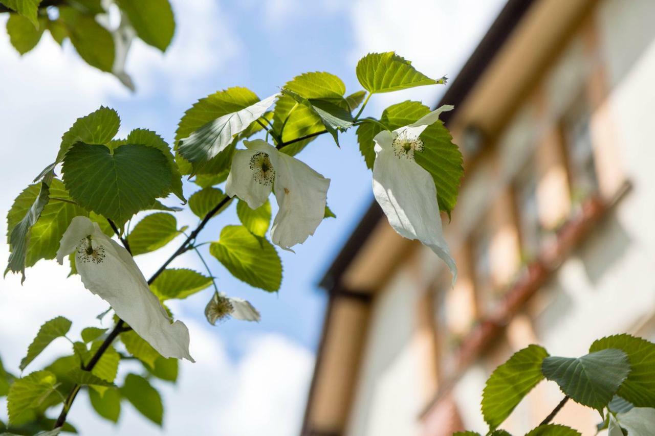Gaestehaus Musmann Hannoversch Münden Exteriér fotografie
