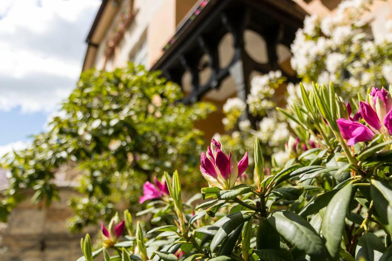 Gaestehaus Musmann Hannoversch Münden Exteriér fotografie